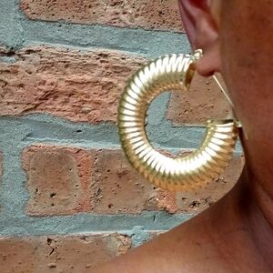 Elegant Gold Hoop Earrings